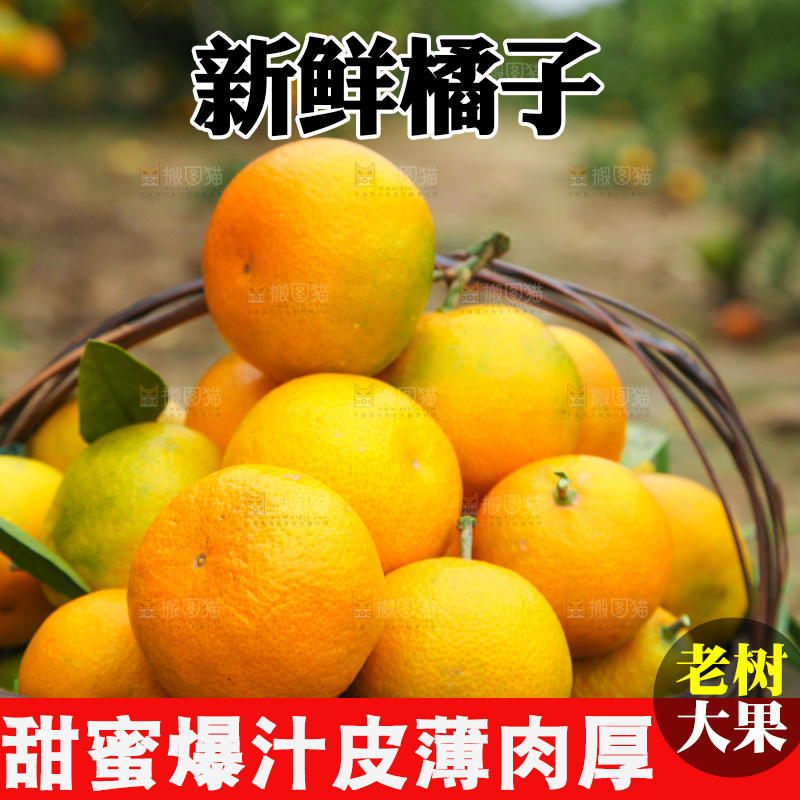 篮子里的蜜橘