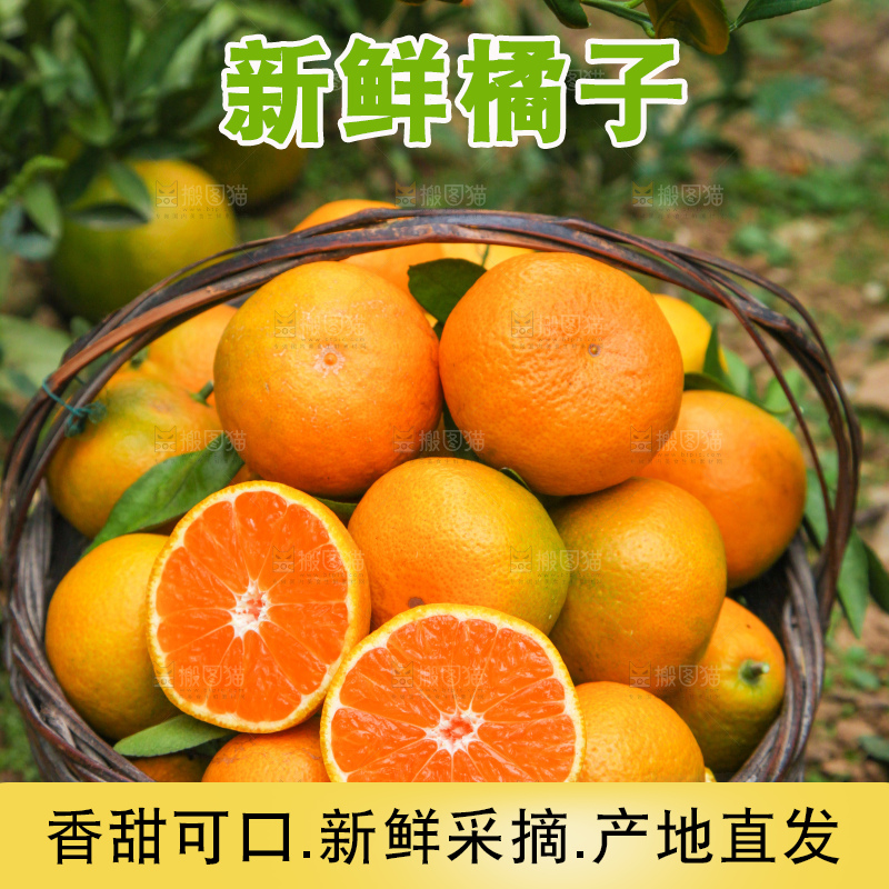 篮子里的新鲜橘子