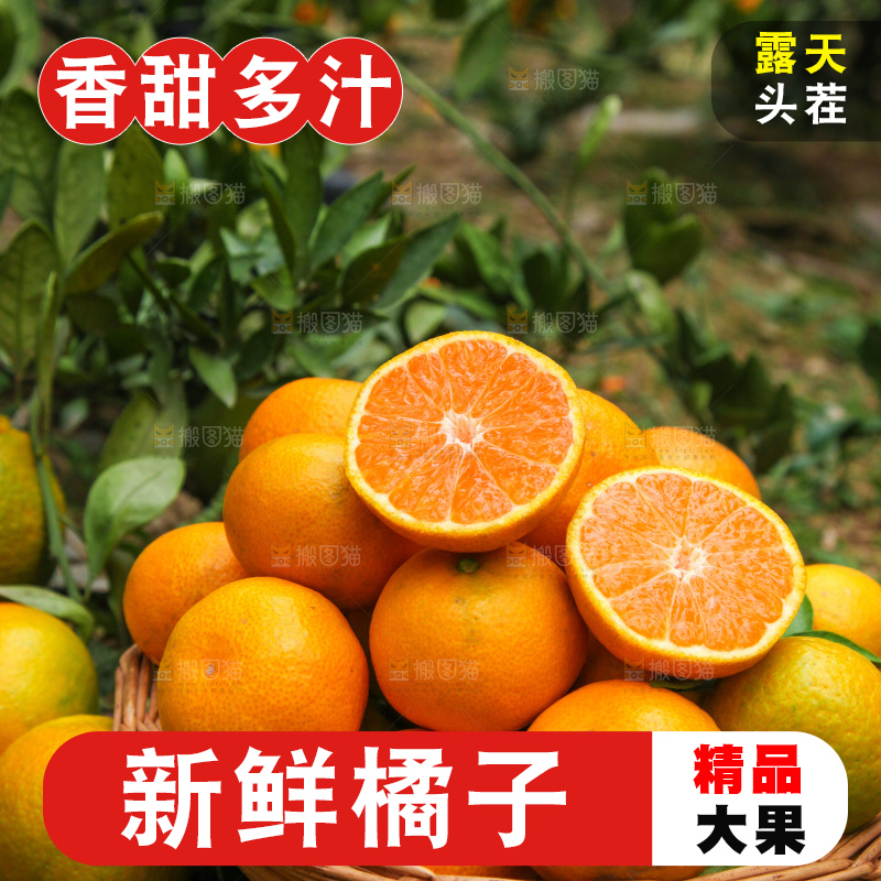篮子里装着橘子