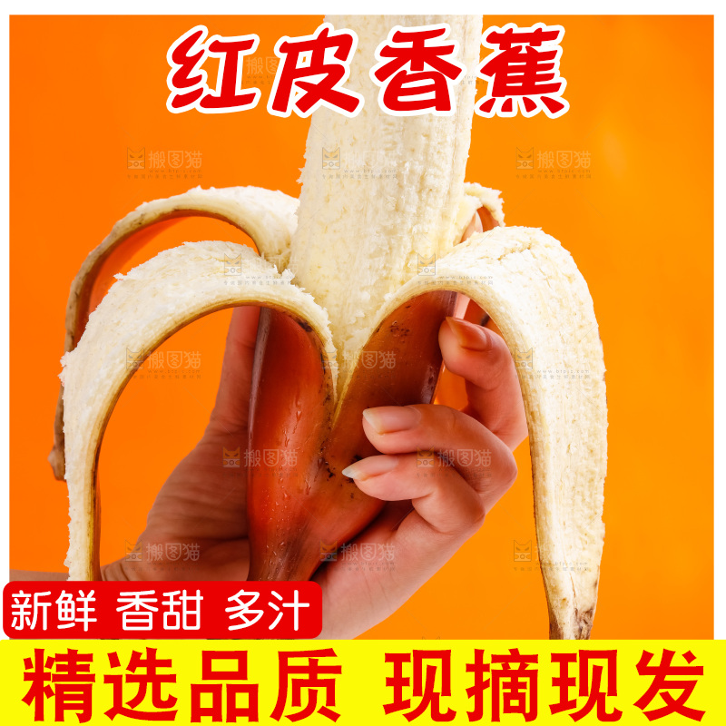 手里拿着红美人香蕉
