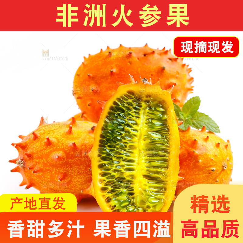 白底上的刺角瓜
