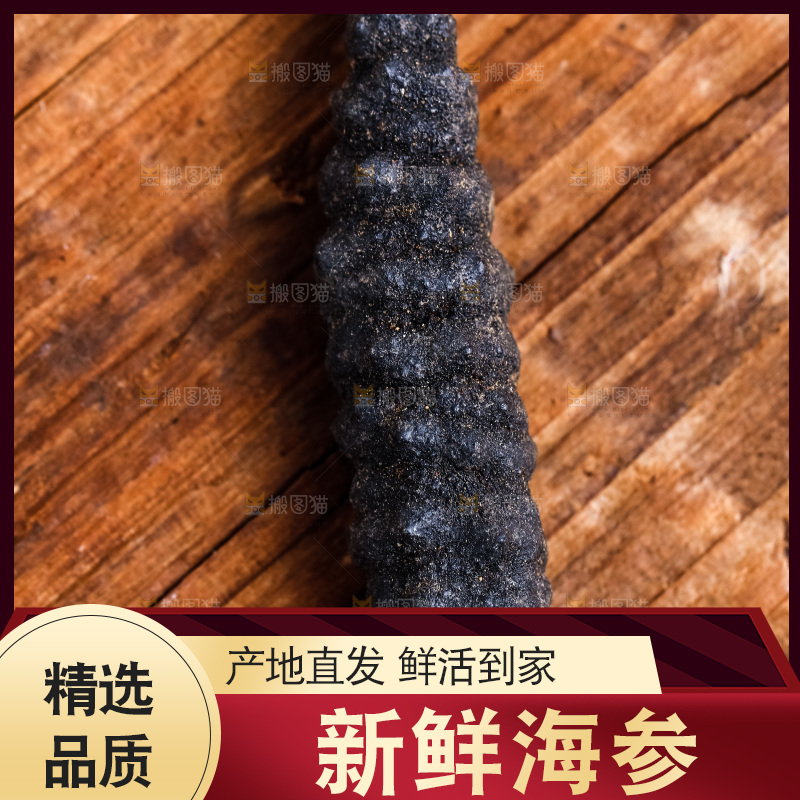 木底上放着大连刺参