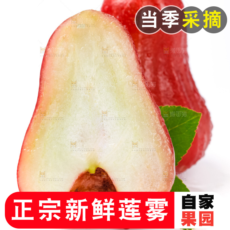 白底上摆放着莲雾
