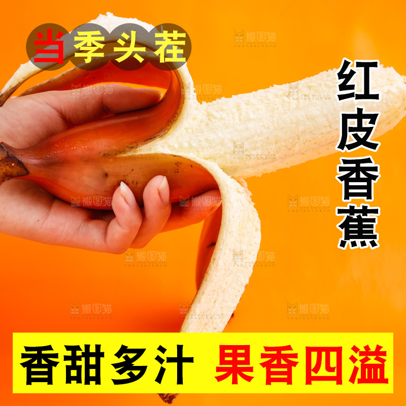 手里拿着红美人香蕉