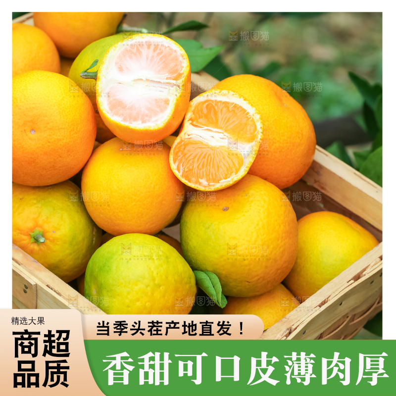 篮子里装着蜜橘