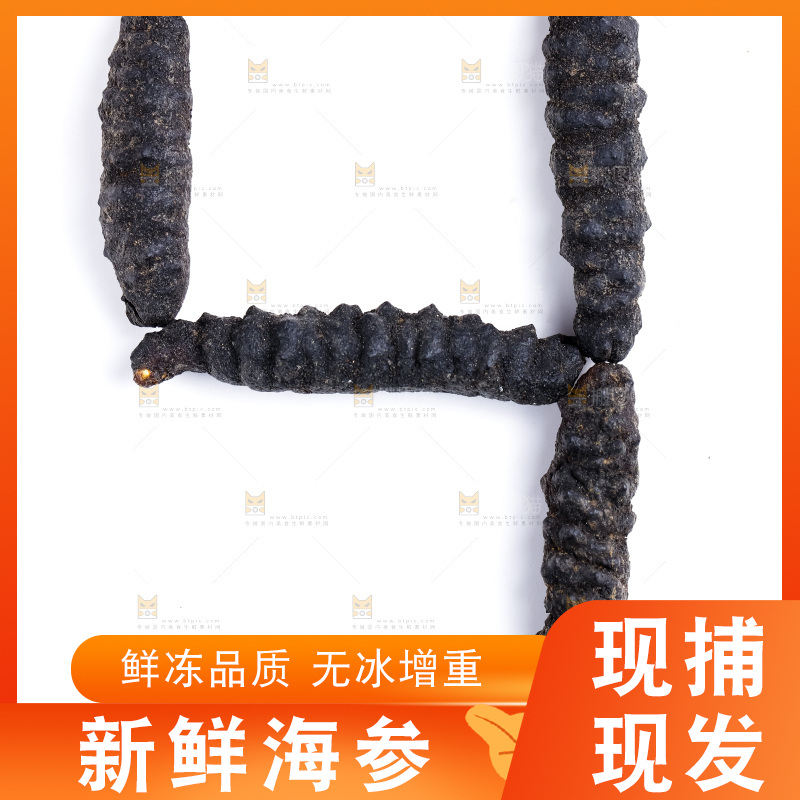 白底上放着干海参