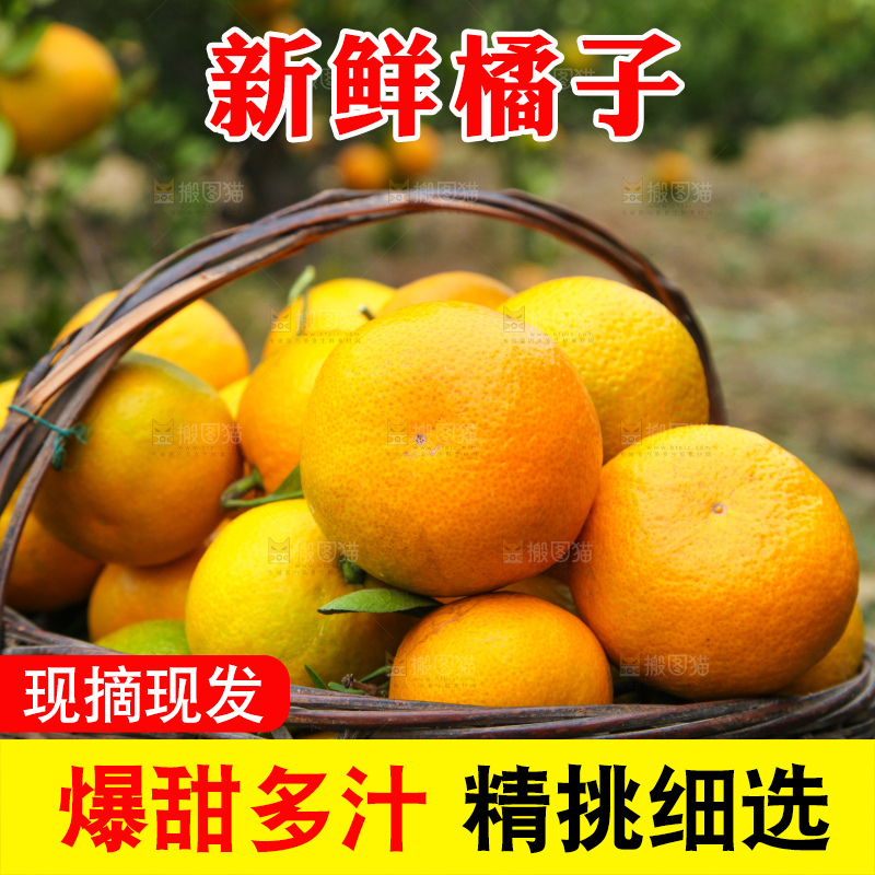 篮子里的蜜橘