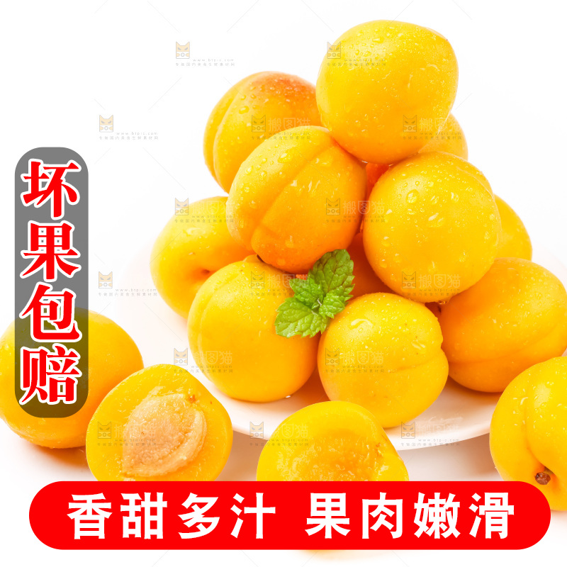 盘子里装着新鲜麦黄杏