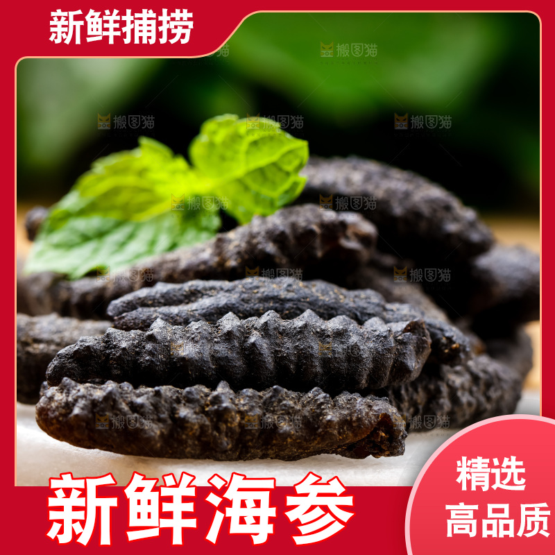 白底上放着海参