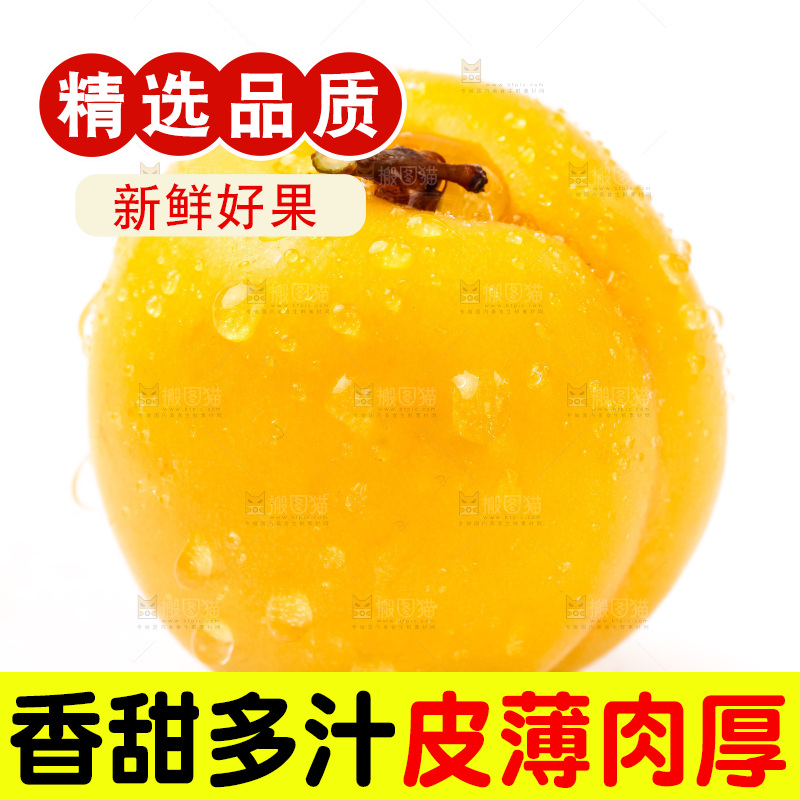 白底上摆放着麦黄杏