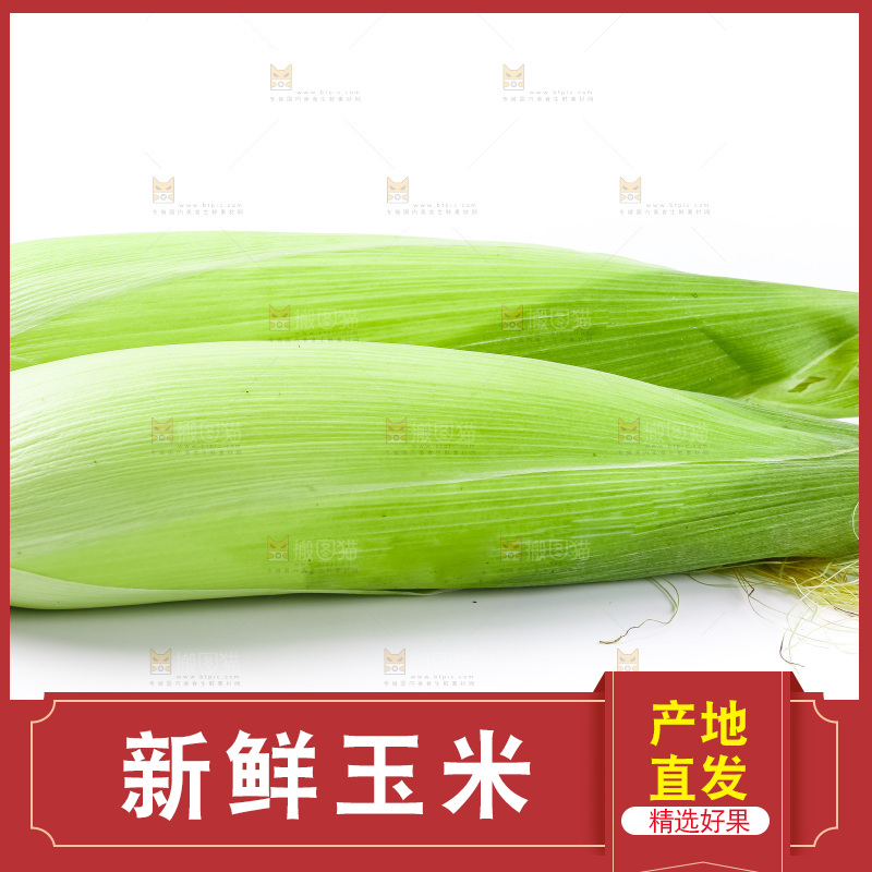 白底上放着苞谷