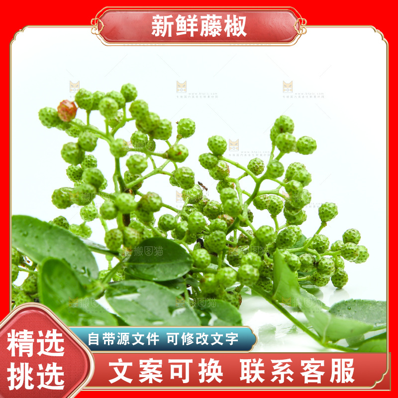 白底上放着新鲜藤椒