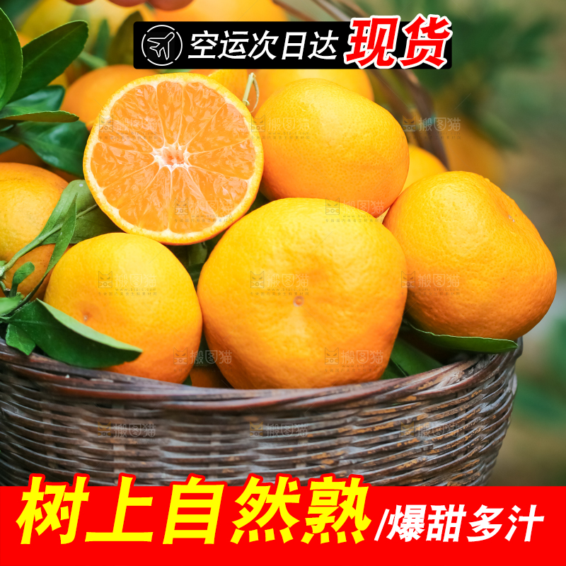 篮子里装着椪柑