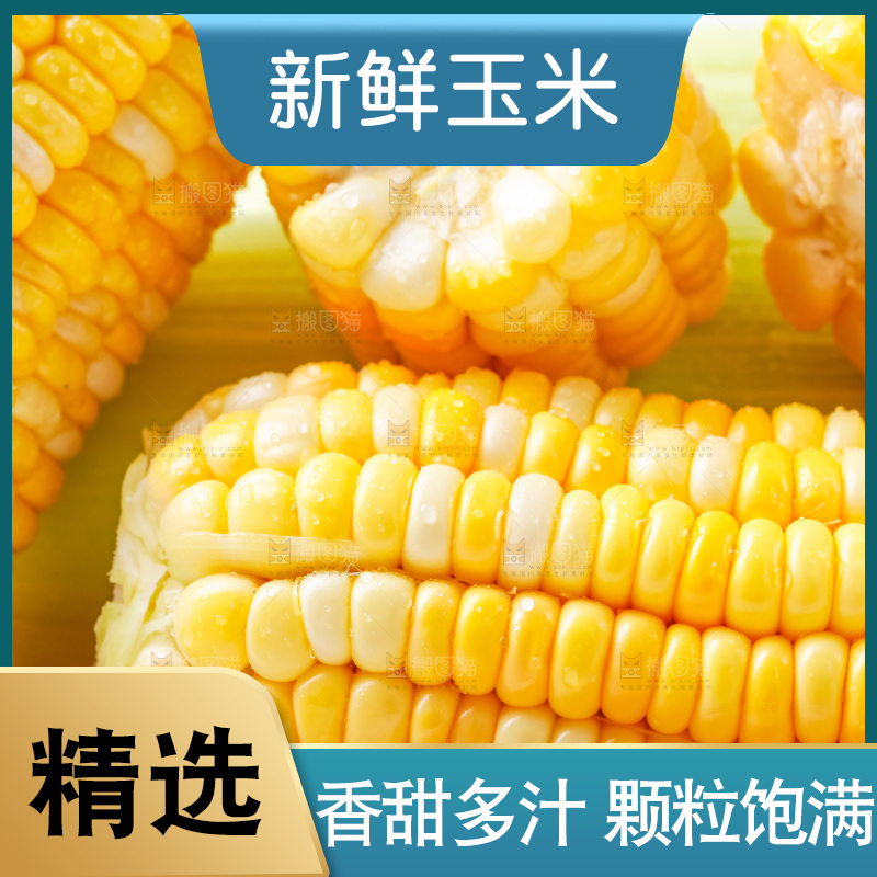 篮子里装着黄玉米