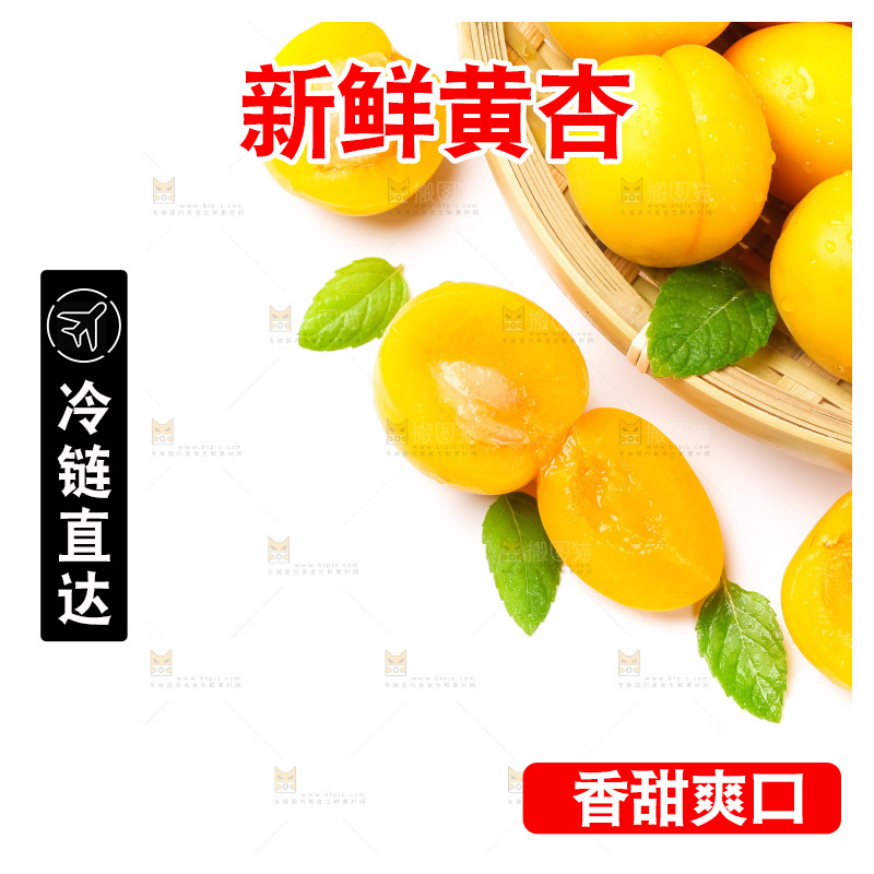 篮子里装着杏子