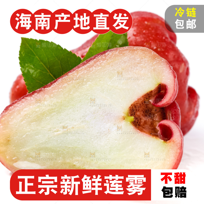 白底上摆放着莲雾