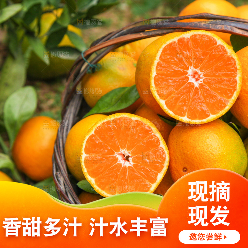 篮子里装着橘子