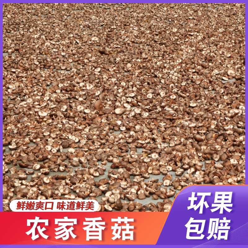 地上晒着香菇