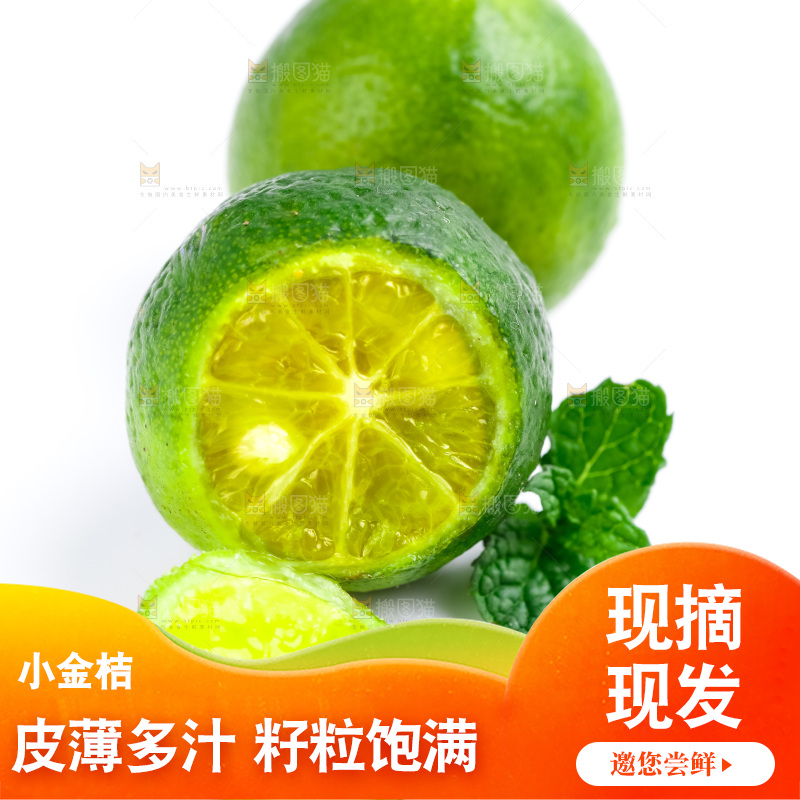 白底上放着小金桔