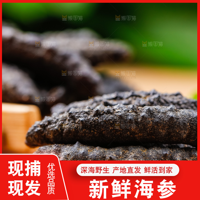 木底上摆放着海刺参