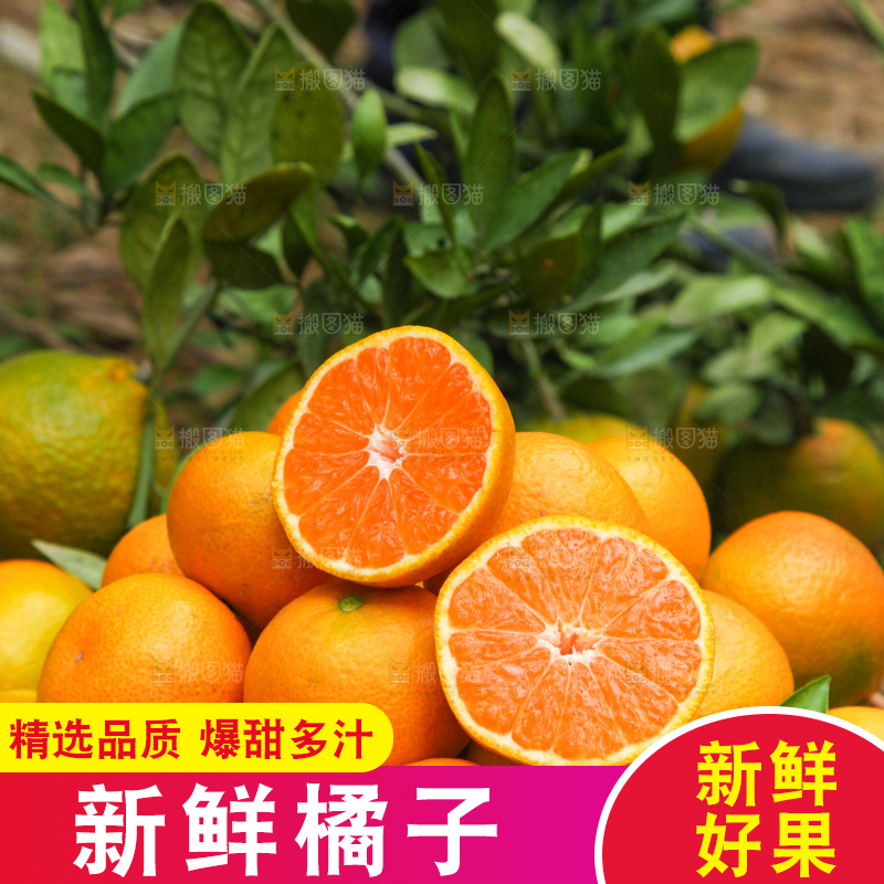 篮子里装着橘子