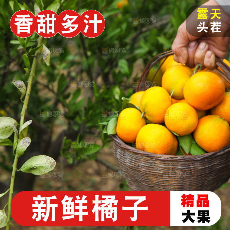 篮子里装着橘子