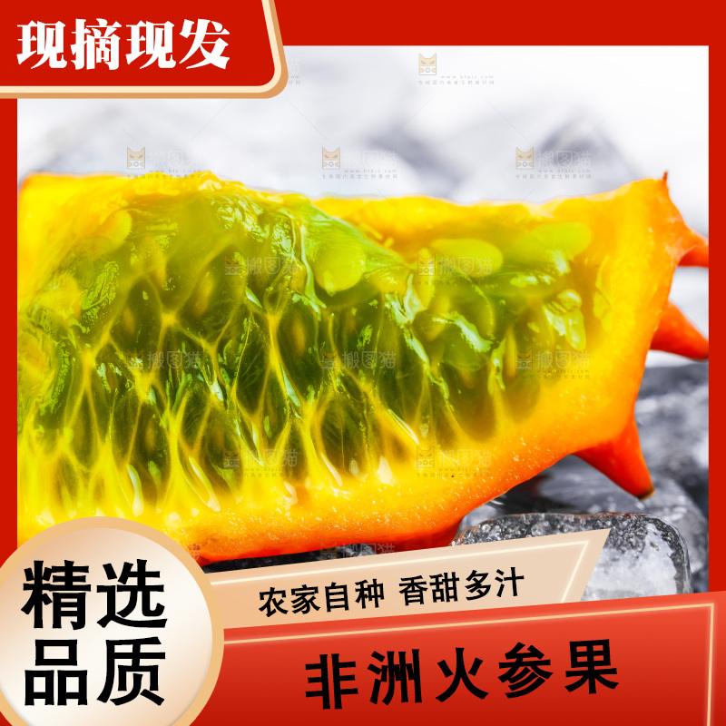 冰块上摆放着刺角瓜
