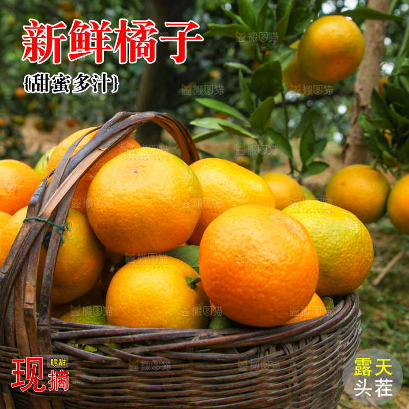 篮子里装着橘子