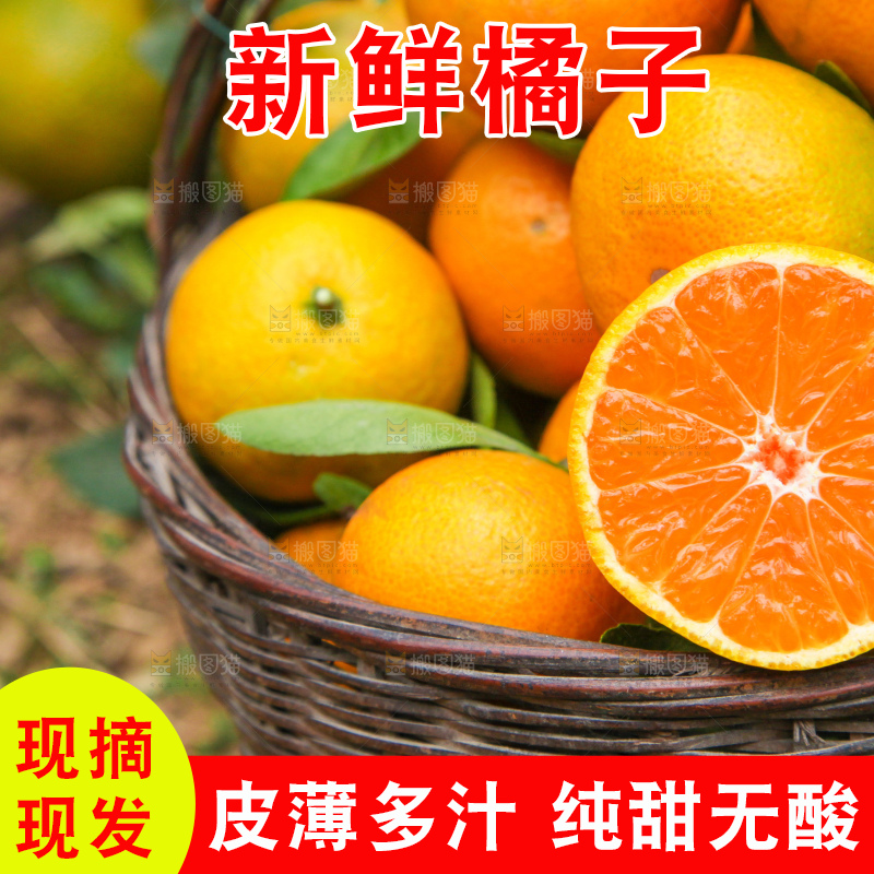 篮子里的新鲜橘子