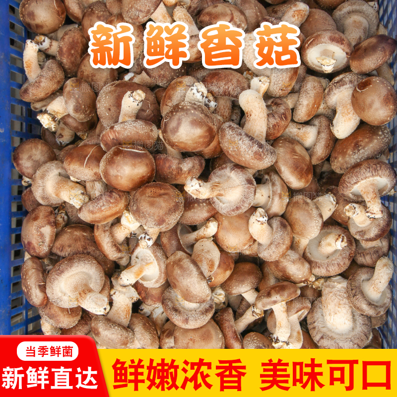 框子里装着香菇