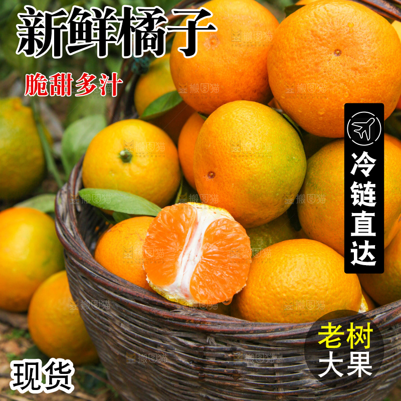 篮子里装着橘子