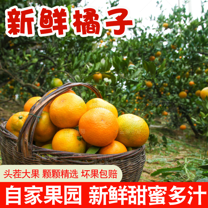 篮子里装着橘子