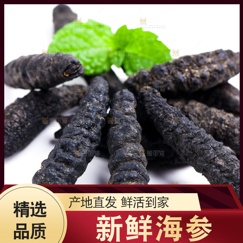 白底上摆放着大连刺参