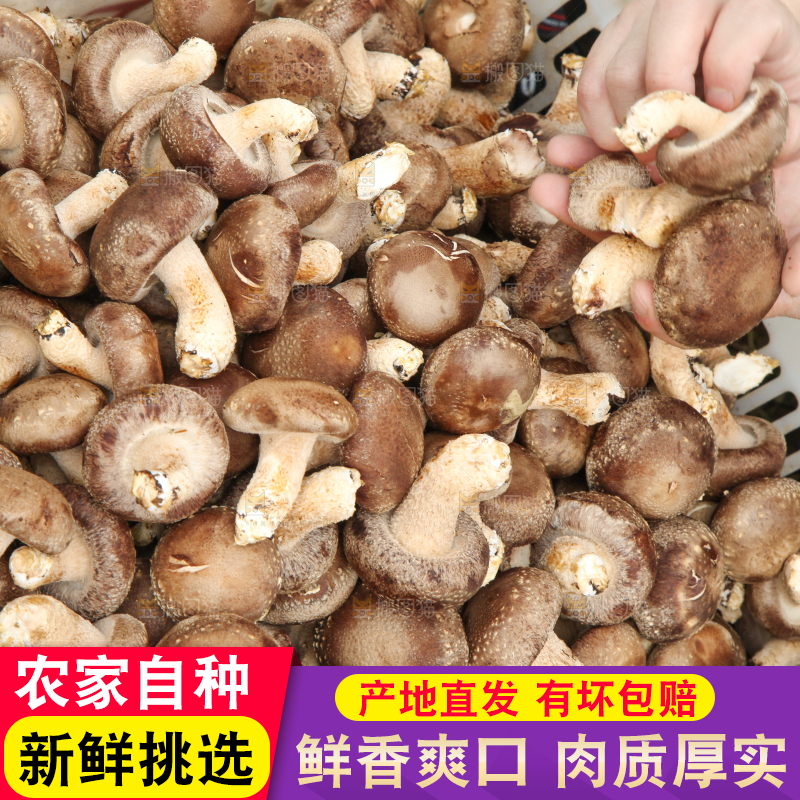 框子里装着香菇