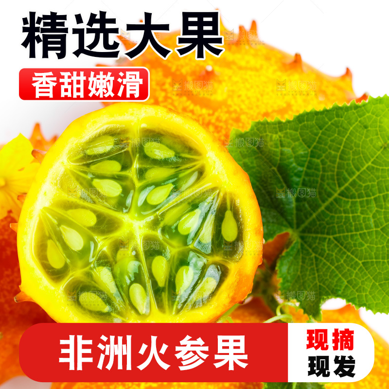 白底上摆放着海参果