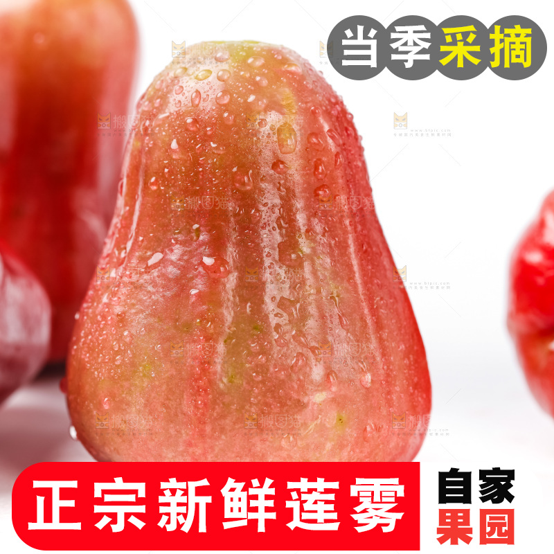 白底上摆放着新鲜莲雾