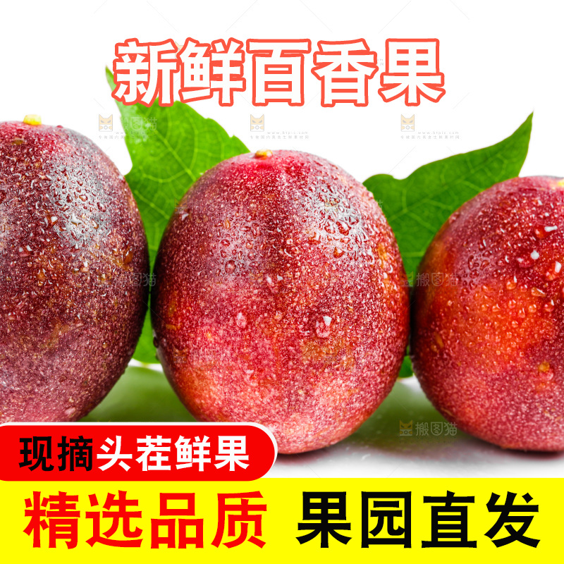 白底上摆放着紫皮百香果