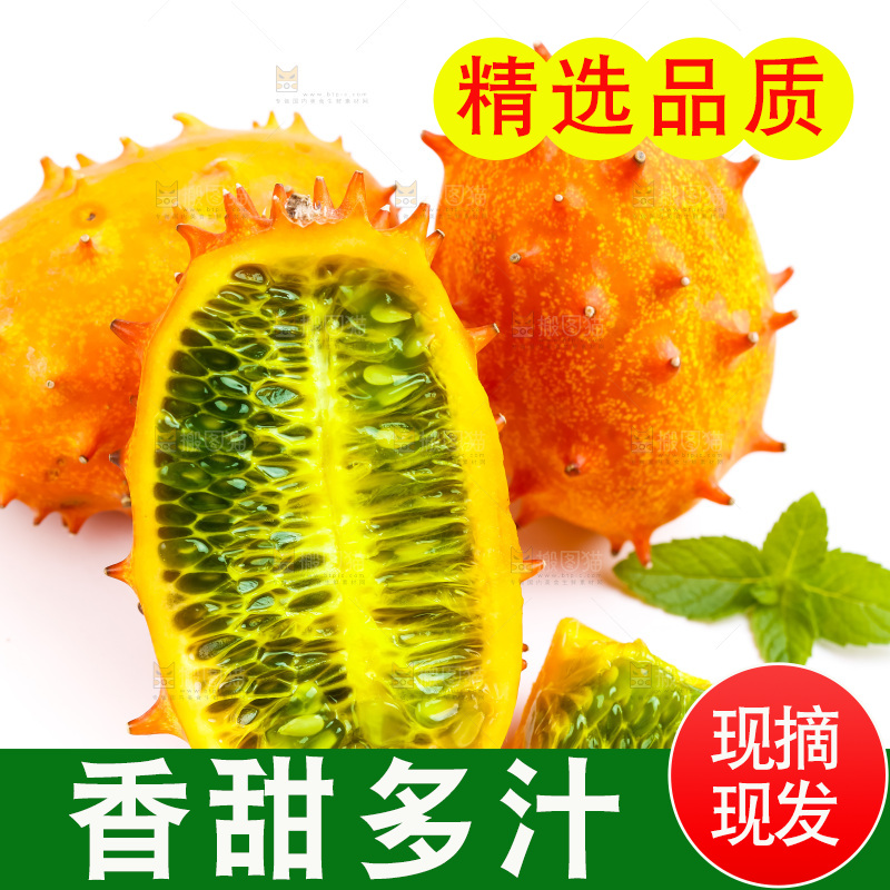 白底上的刺角瓜