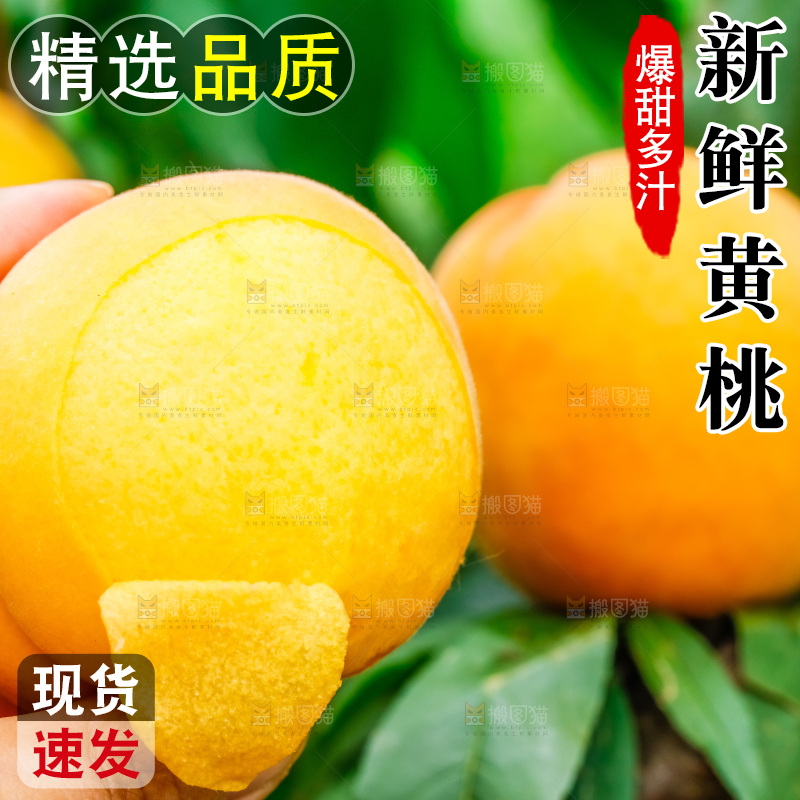 手里拿着黄肉毛桃