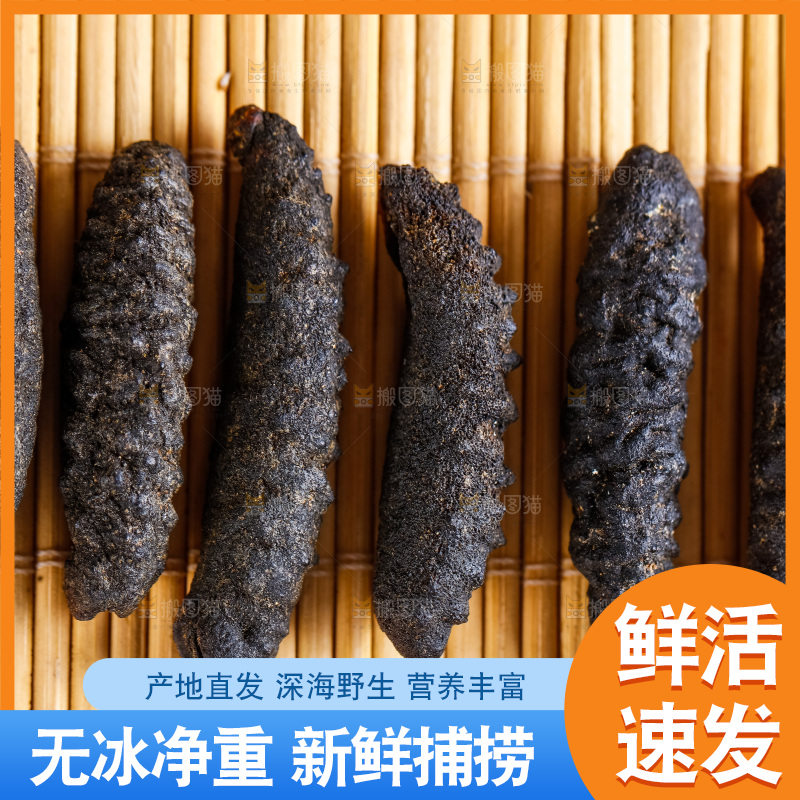 竹垫上摆放着海参