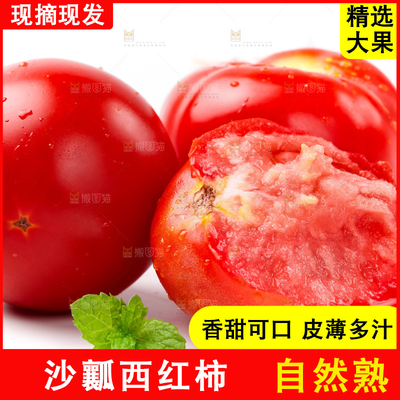 白底上的西红柿