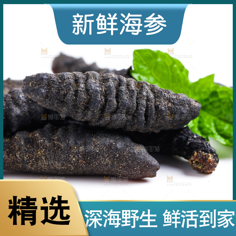 白底上摆放着刺参