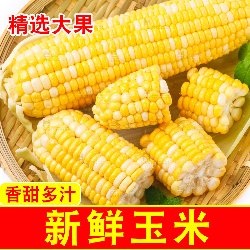 篮子里装着黄玉米