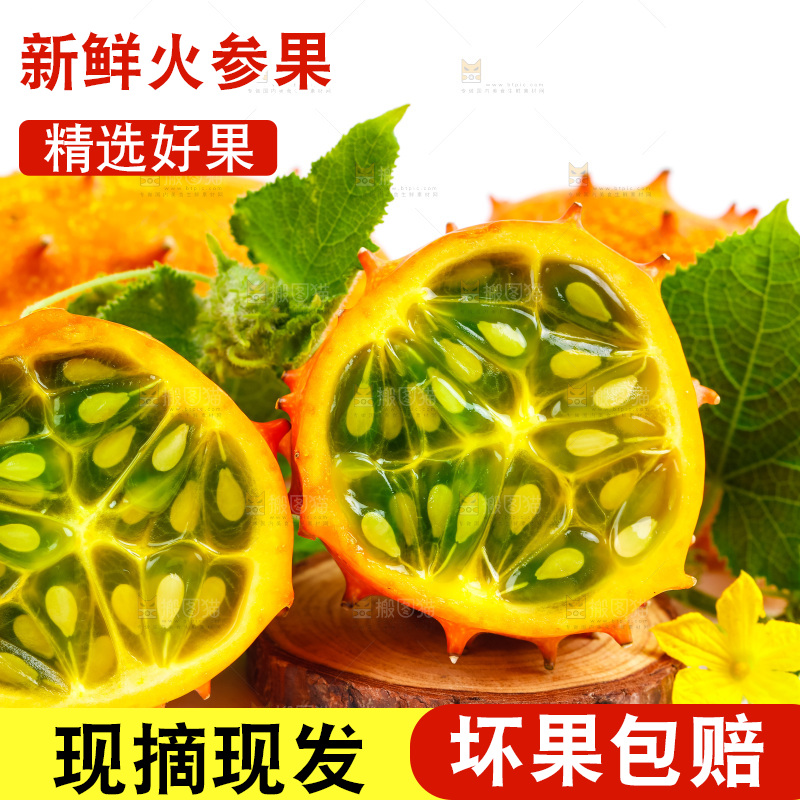 白底上摆放着海参果