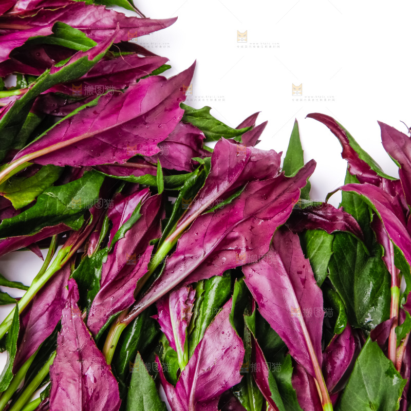 浅底上放着紫背菜