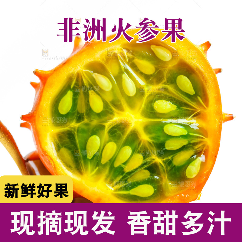 勺子上放着刺角瓜