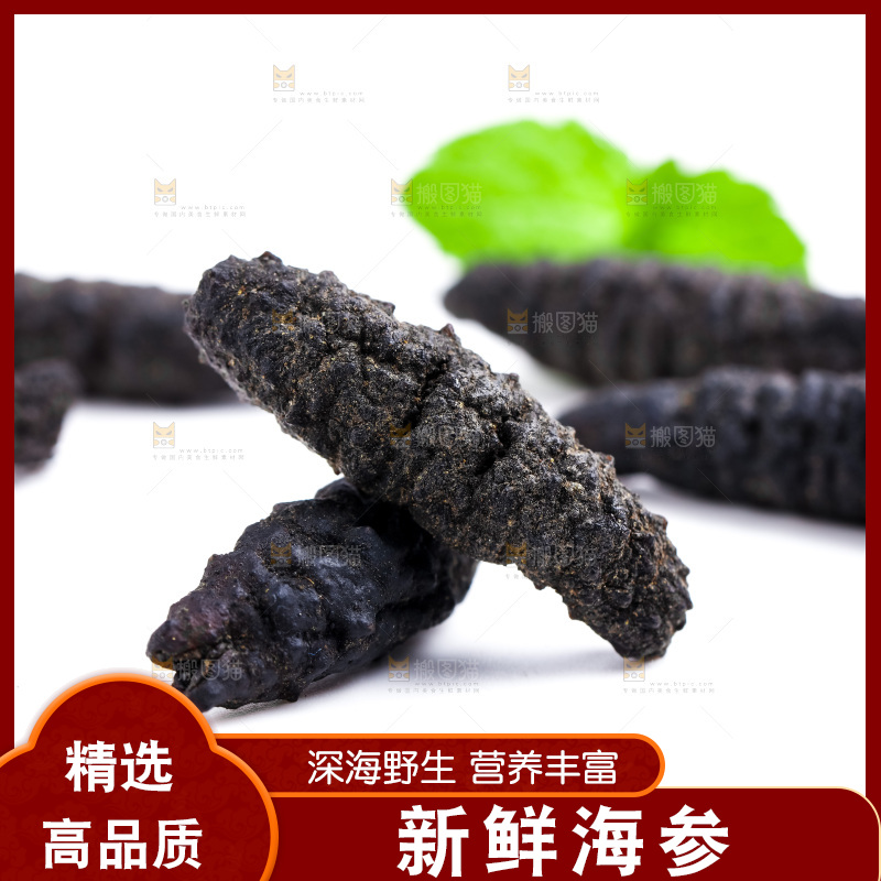 白底上摆放着大连刺参