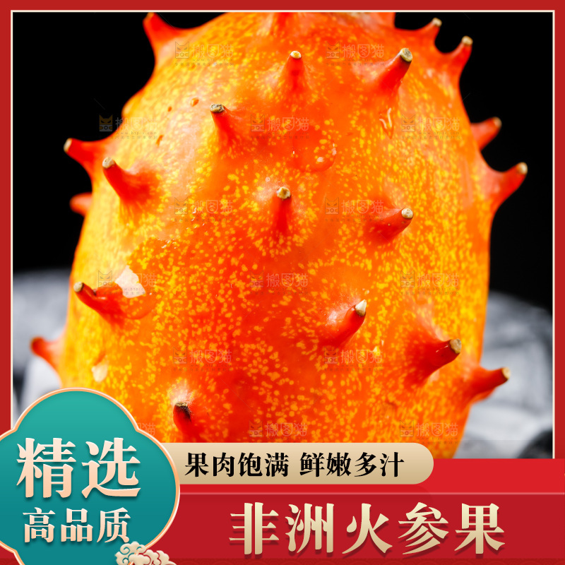 冰块上摆放着刺角瓜