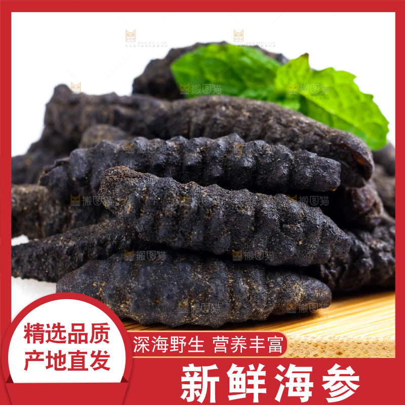 白底上摆放着海刺参