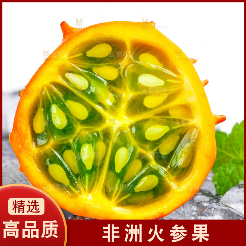 冰块上摆放着刺角瓜